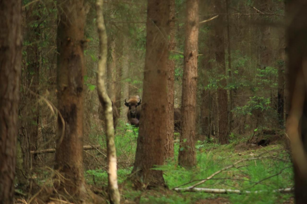 Nasze Podlasie, Domek W Dubiczach Cerkiewnych Dubicze Cerkiewne Exterior foto