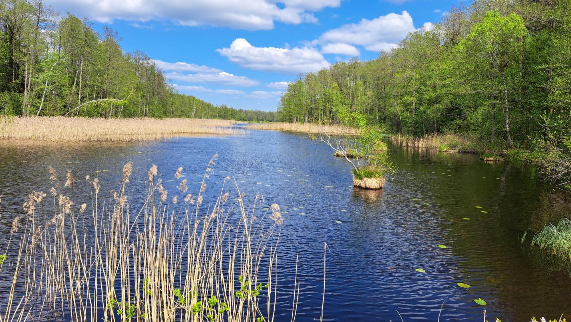 Nasze Podlasie, Domek W Dubiczach Cerkiewnych Dubicze Cerkiewne Exterior foto